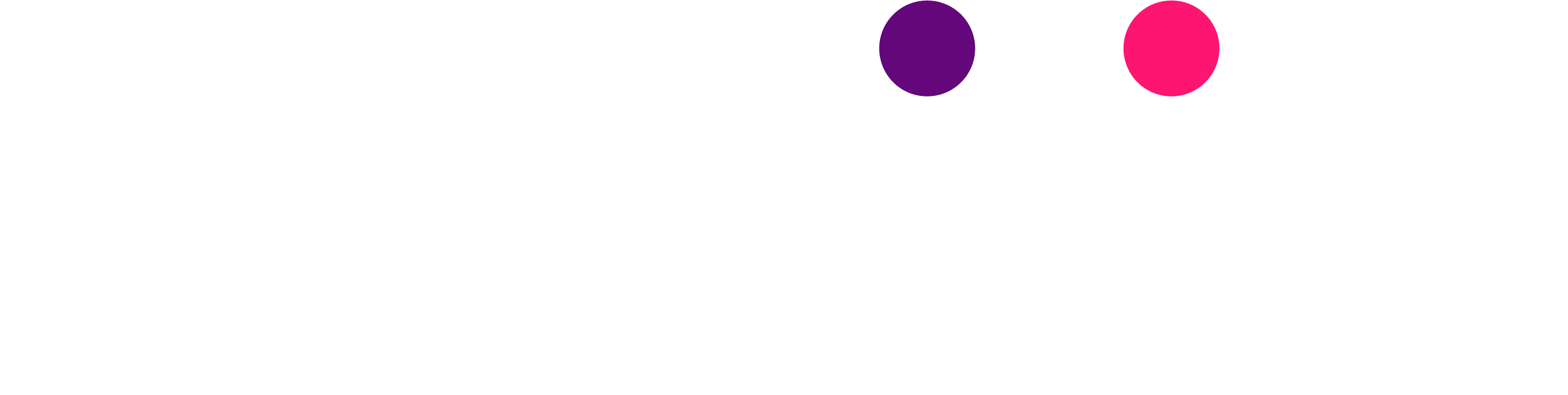 logo2